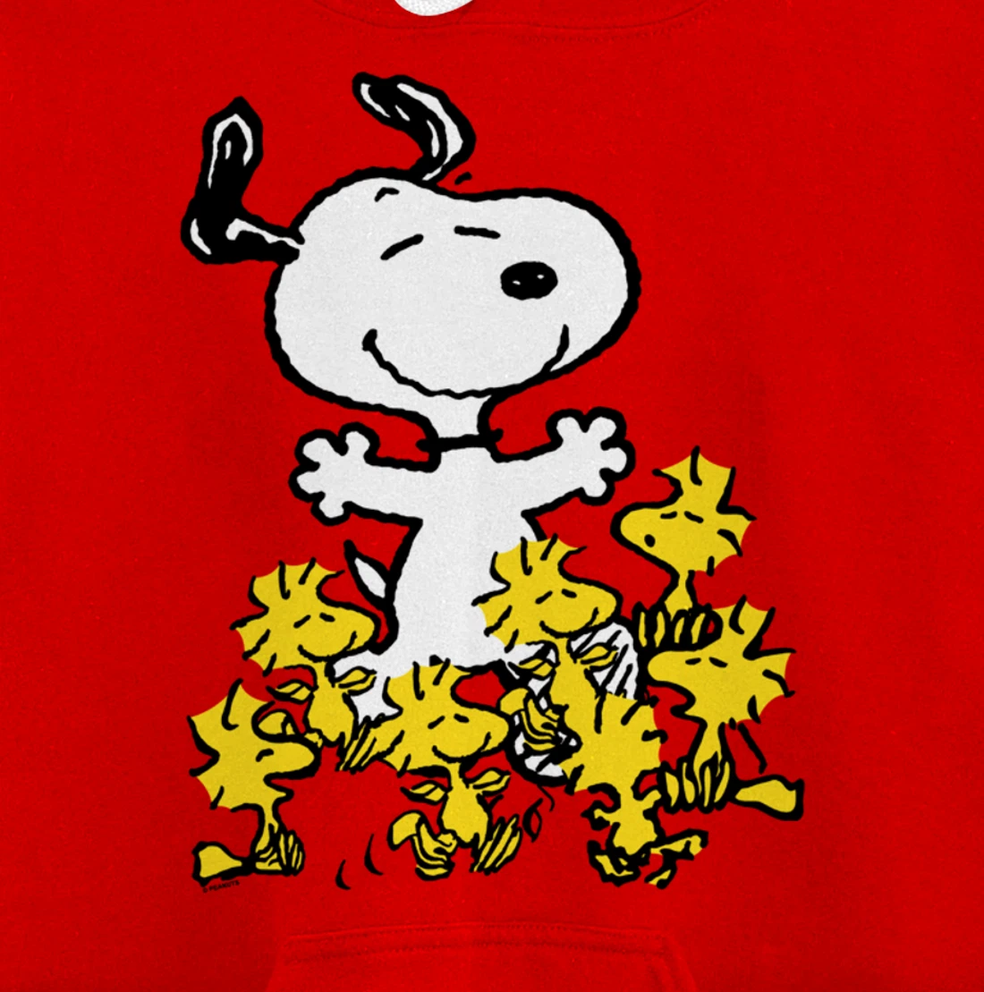 Peanuts - Snoopy Party Pullover Hoodie