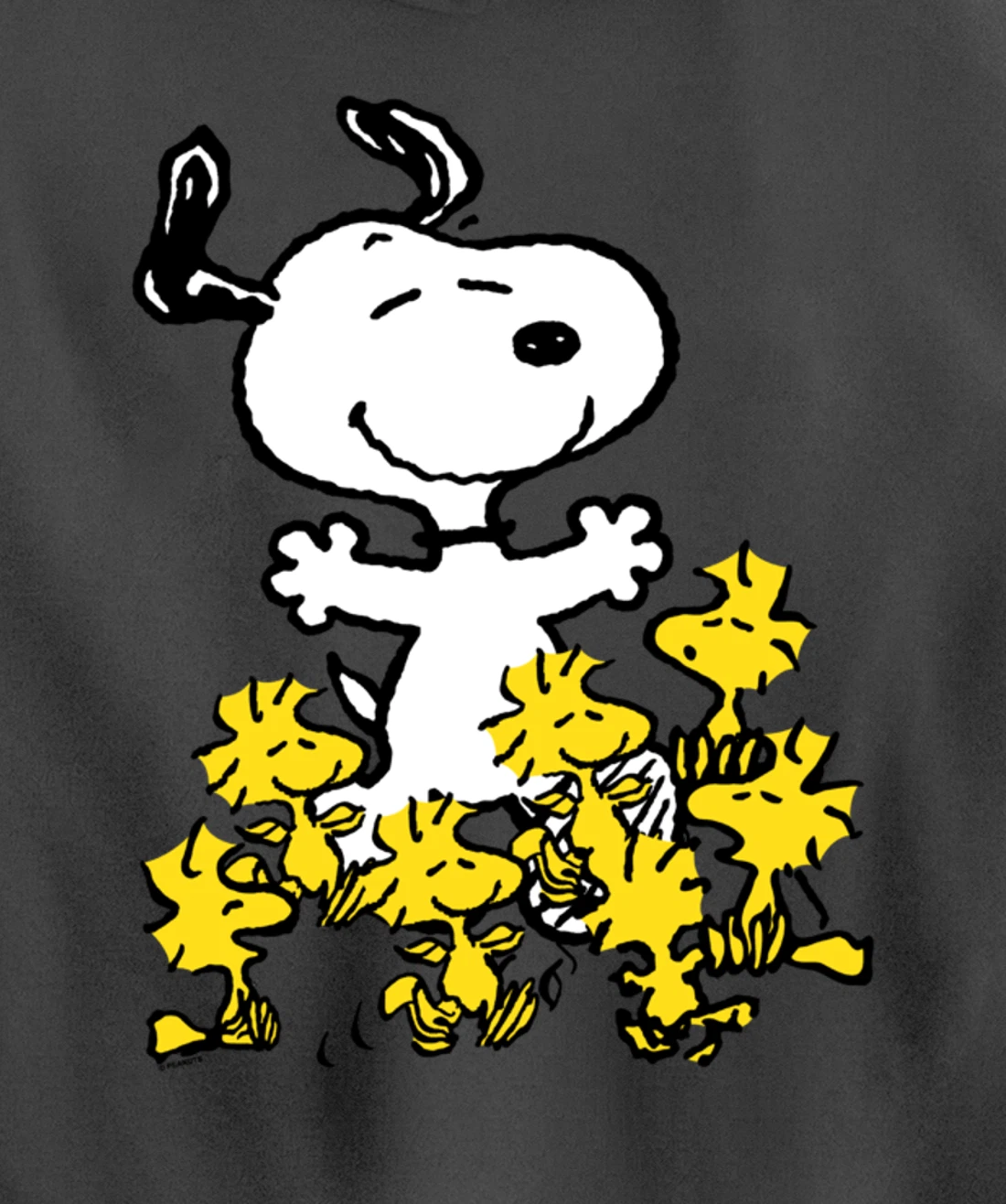 Peanuts - Snoopy Party Pullover Hoodie