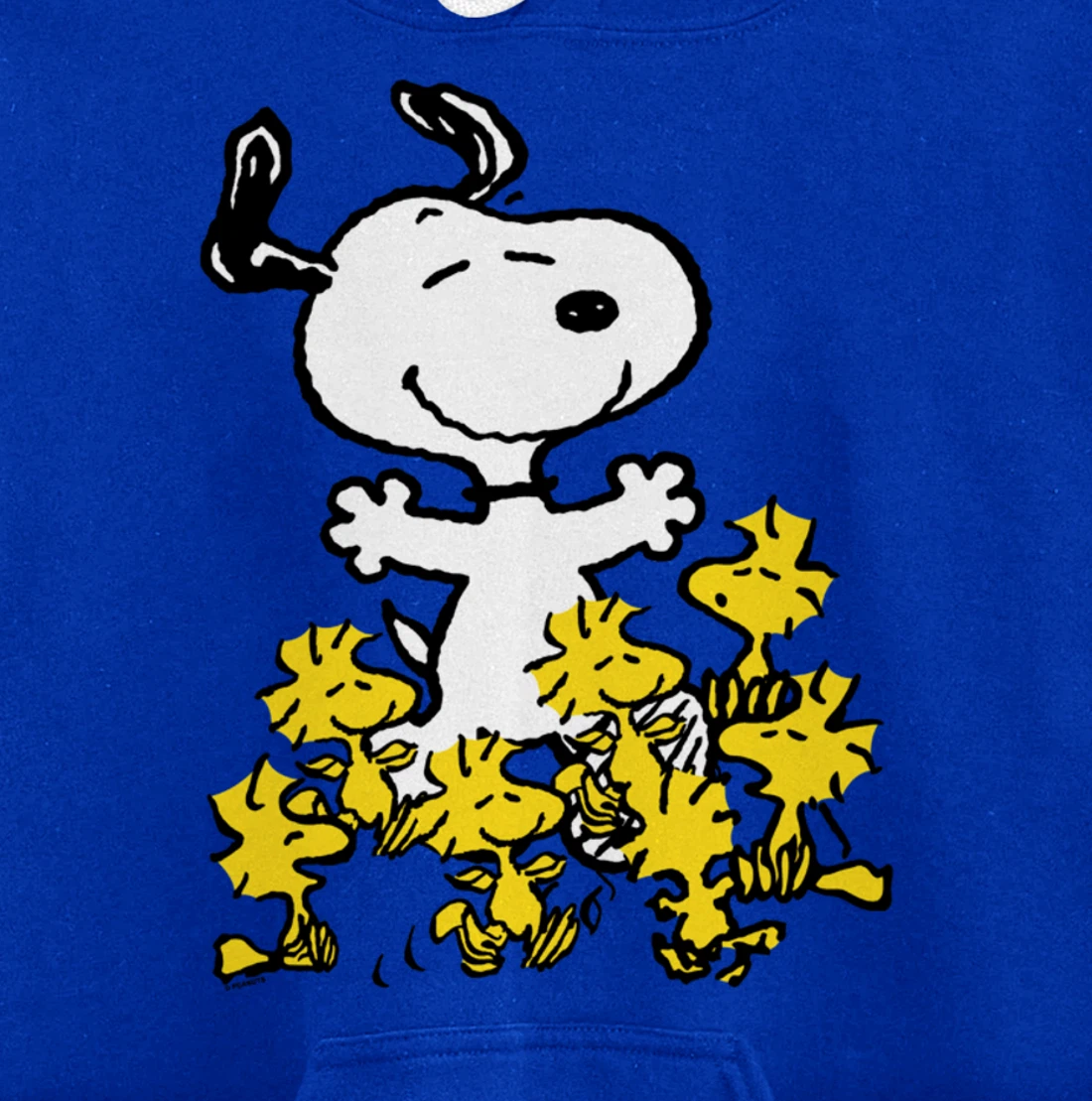 Peanuts - Snoopy Party Pullover Hoodie