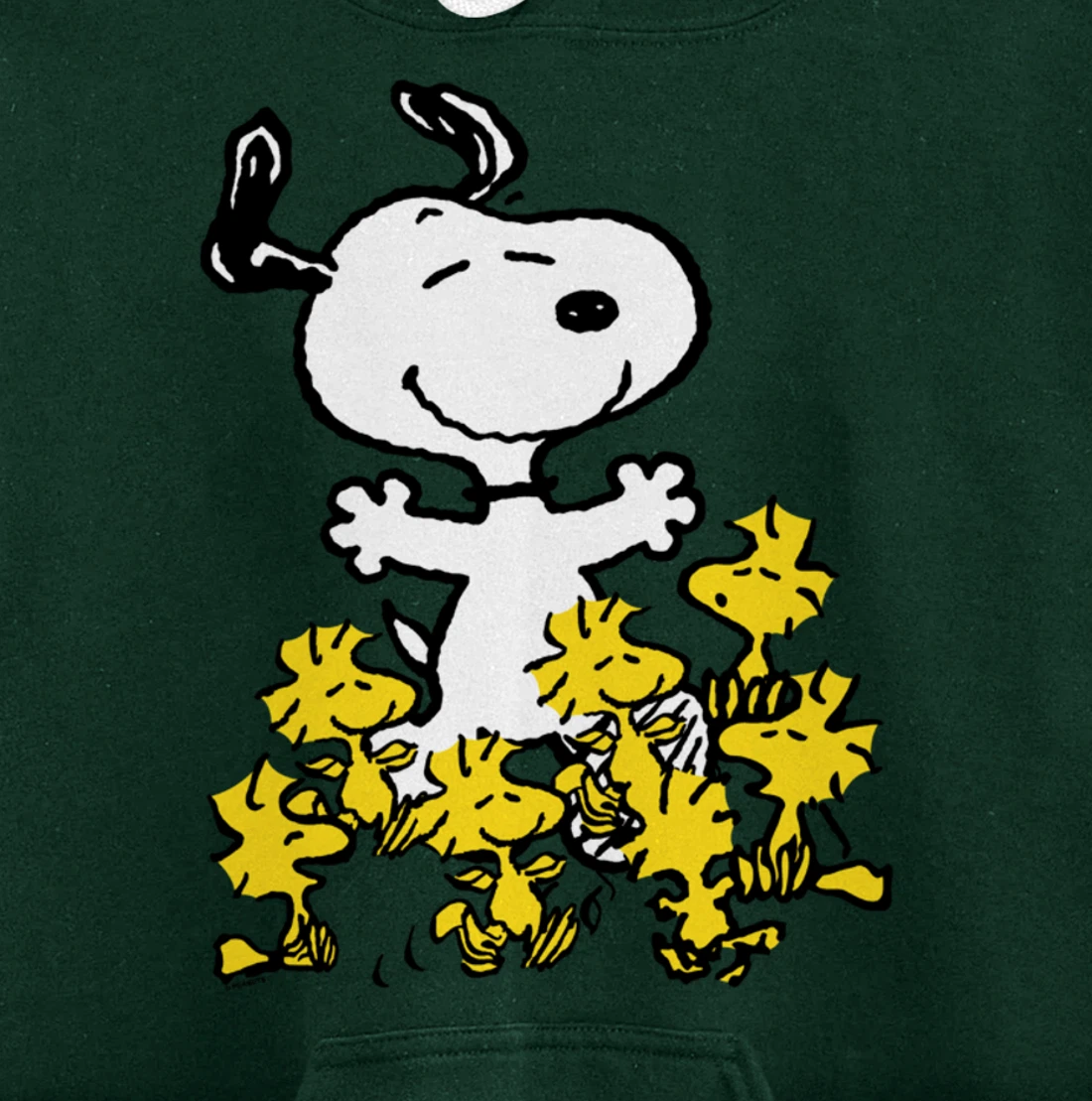 Peanuts - Snoopy Party Pullover Hoodie