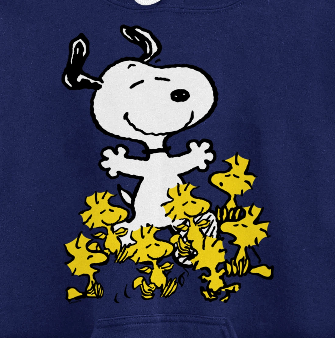 Peanuts - Snoopy Party Pullover Hoodie