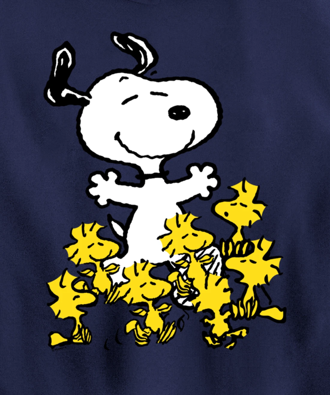 Peanuts - Snoopy Party Pullover Hoodie