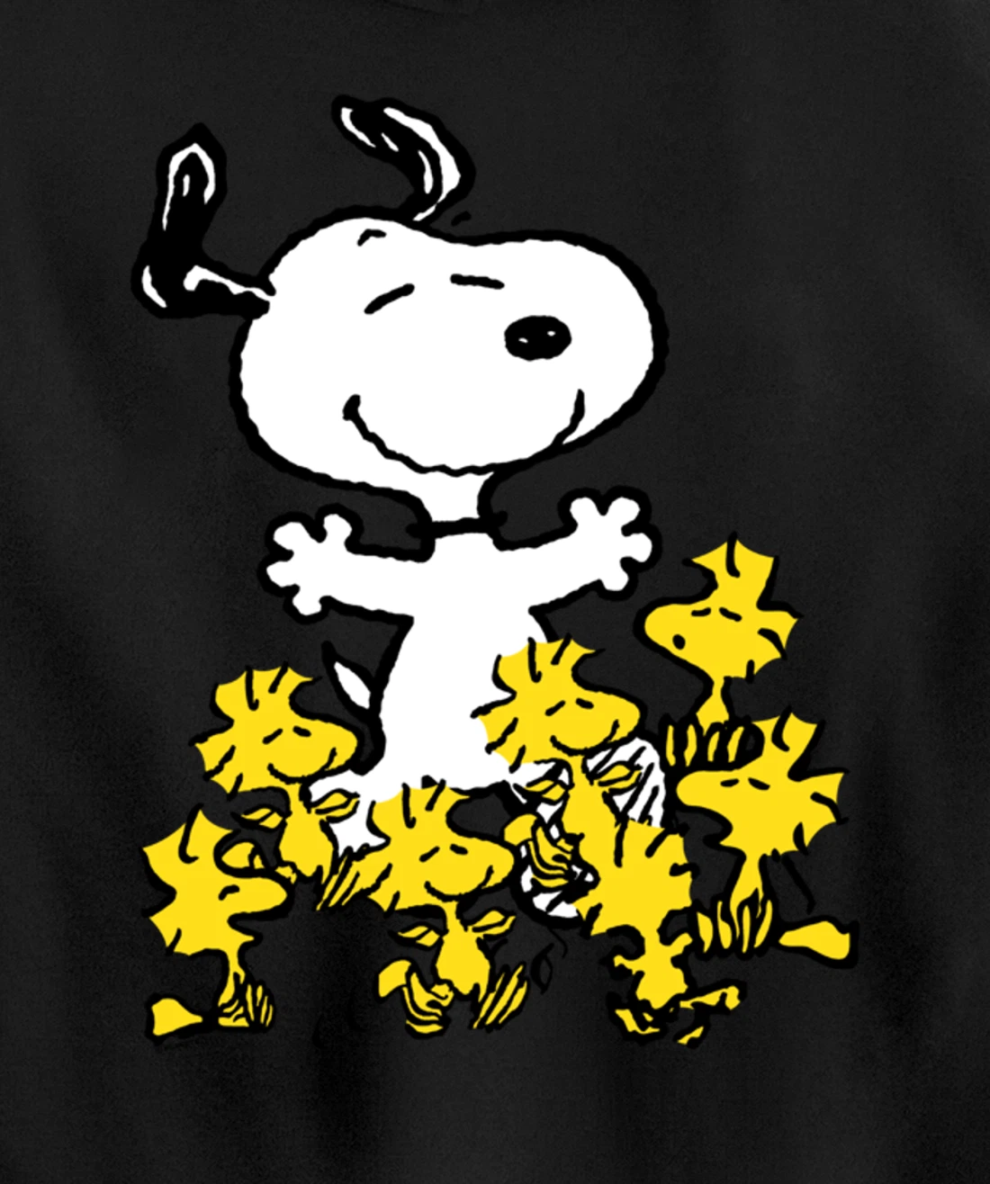 Peanuts - Snoopy Party Pullover Hoodie