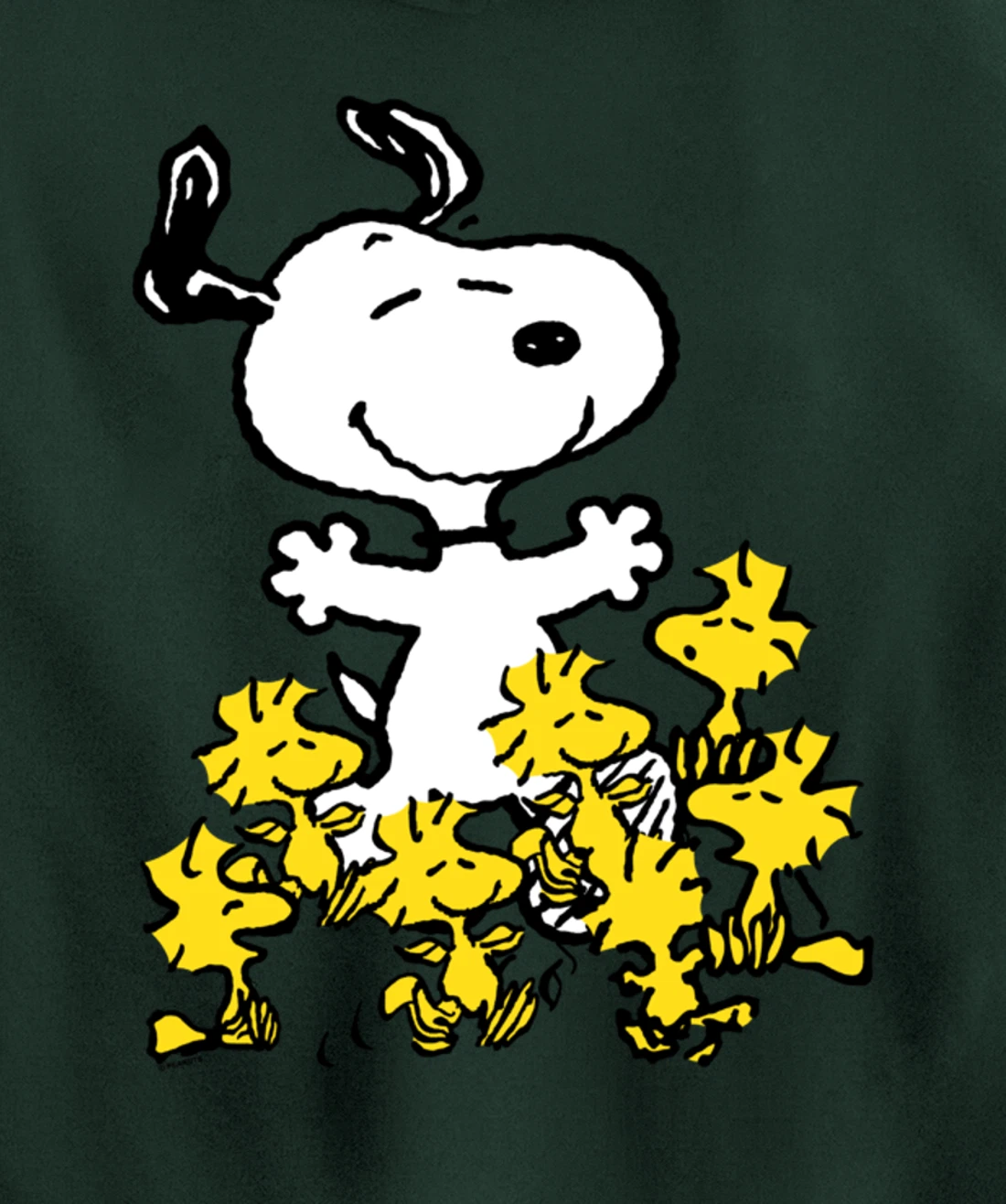 Peanuts - Snoopy Party Pullover Hoodie