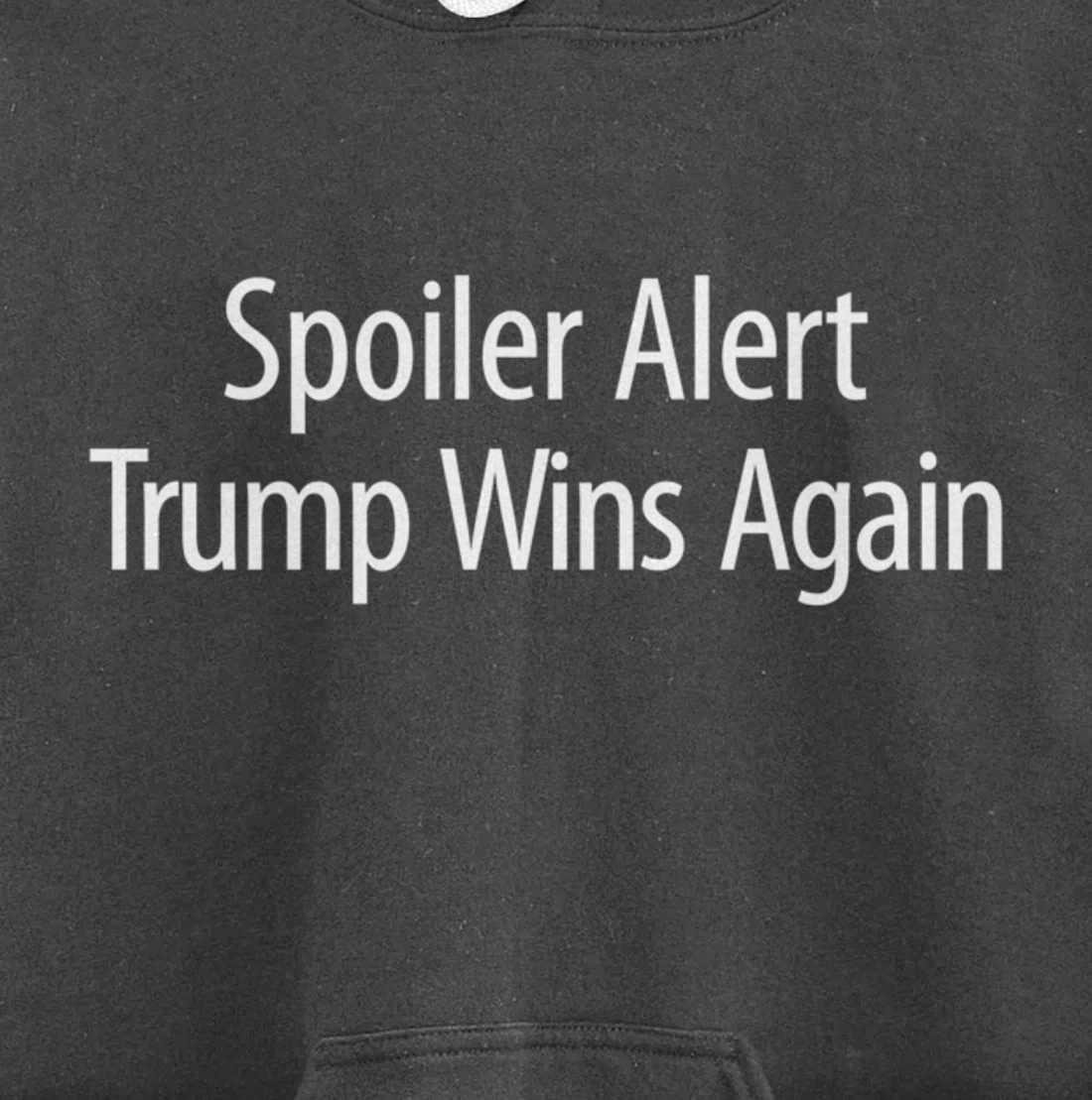 Spoiler Alert - Trump Wins Again - Pullover Hoodie