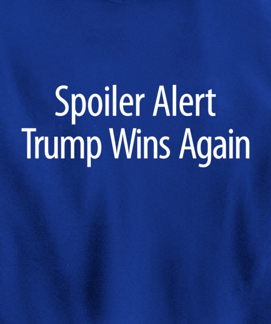 Spoiler Alert - Trump Wins Again - Pullover Hoodie