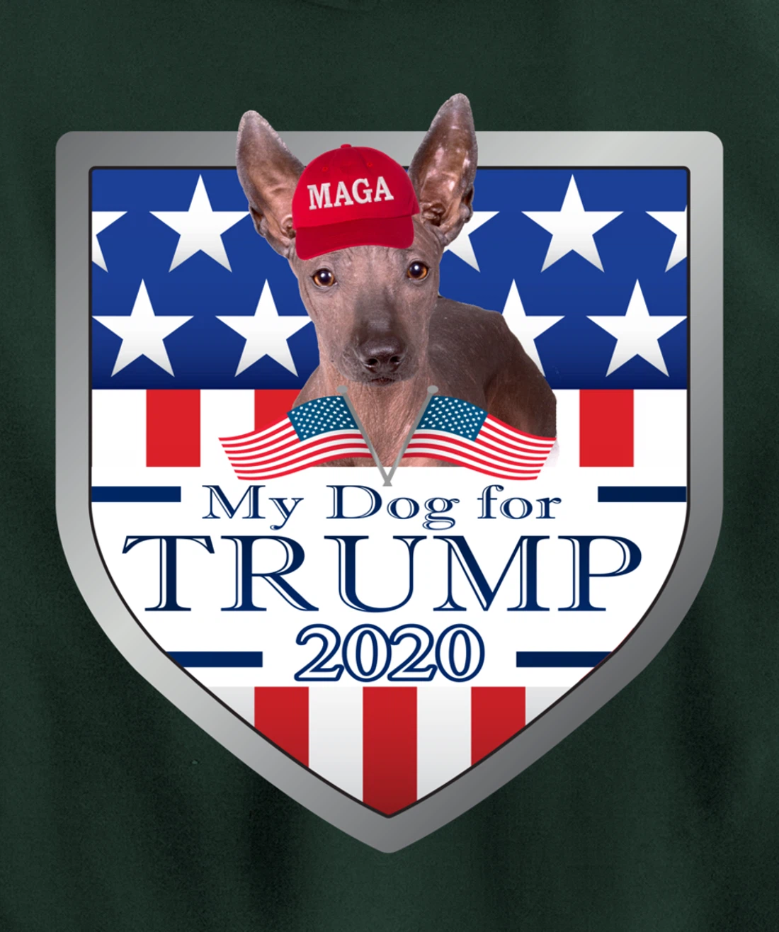 Xoloitzcuintli Pullover Hoodie