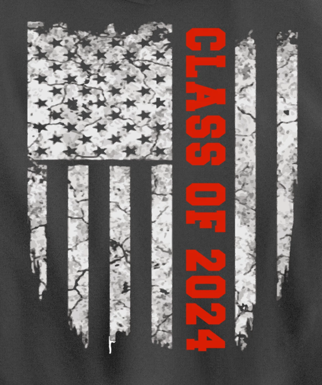 US Flag Class Of 2024 Grow With Me Gift Pullover Hoodie