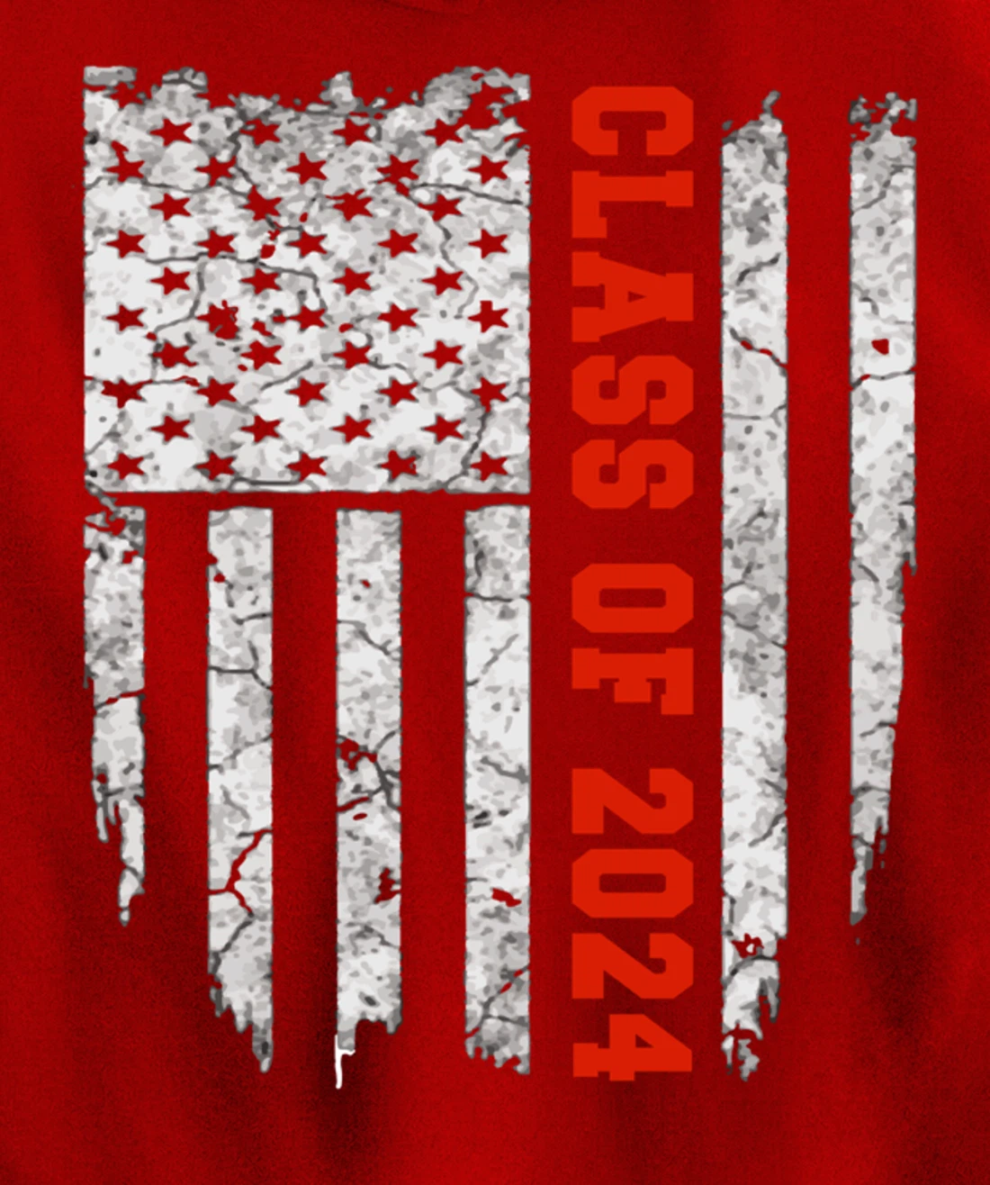 US Flag Class Of 2024 Grow With Me Gift Pullover Hoodie