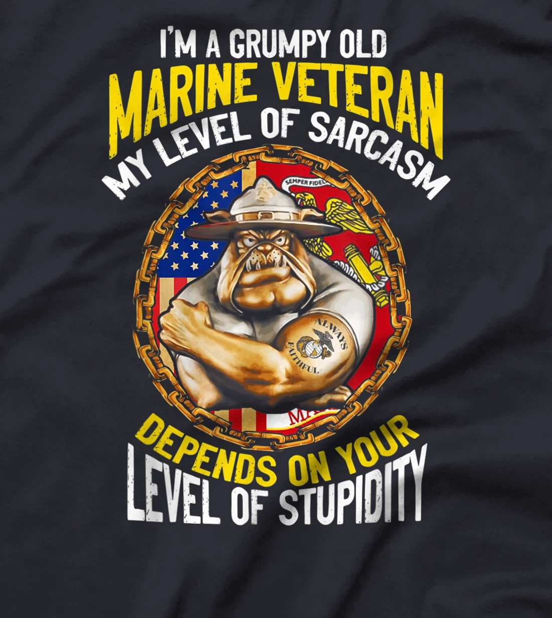 I'm A Grumpy Old Marine Veteran My Level Of Sarcasm Depends T-Shirt