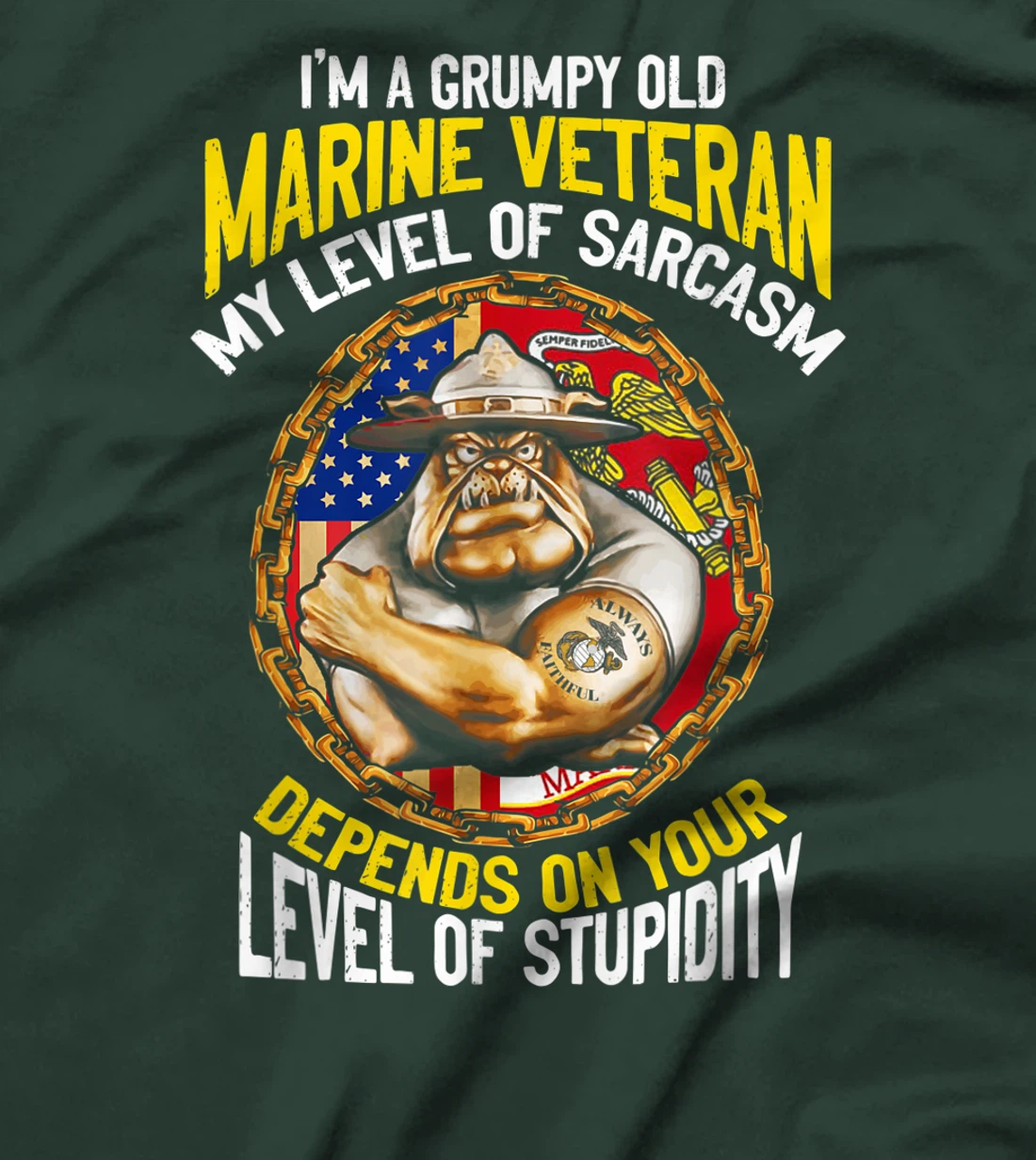 I'm A Grumpy Old Marine Veteran My Level Of Sarcasm Depends T-Shirt