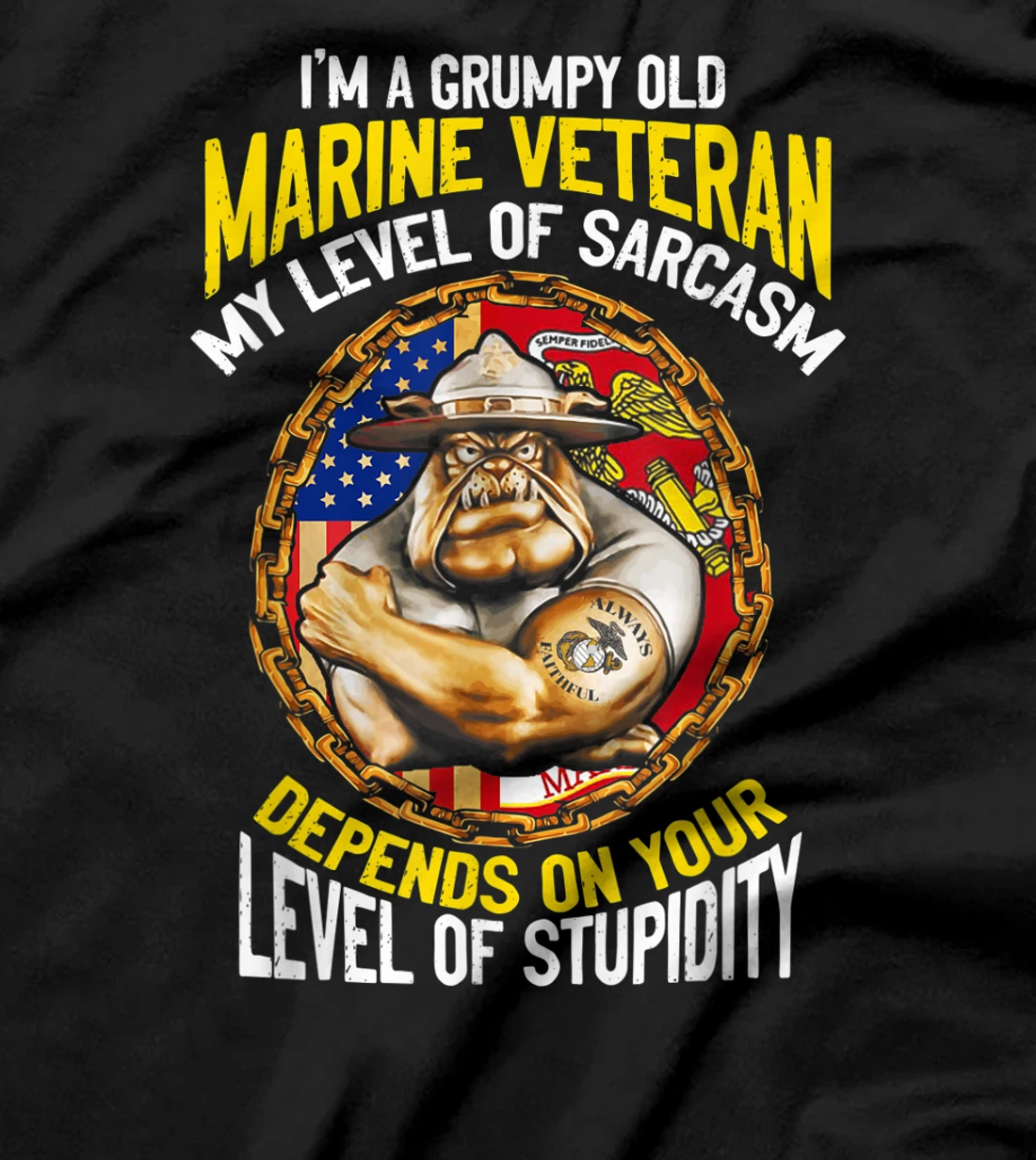I'm A Grumpy Old Marine Veteran My Level Of Sarcasm Depends T-Shirt