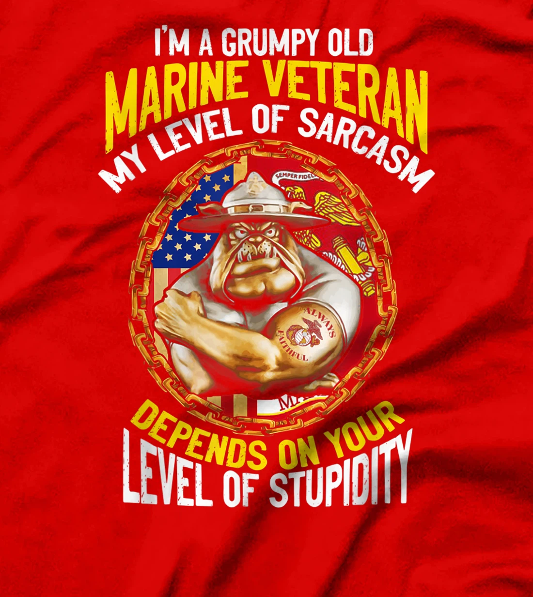 I'm A Grumpy Old Marine Veteran My Level Of Sarcasm Depends T-Shirt