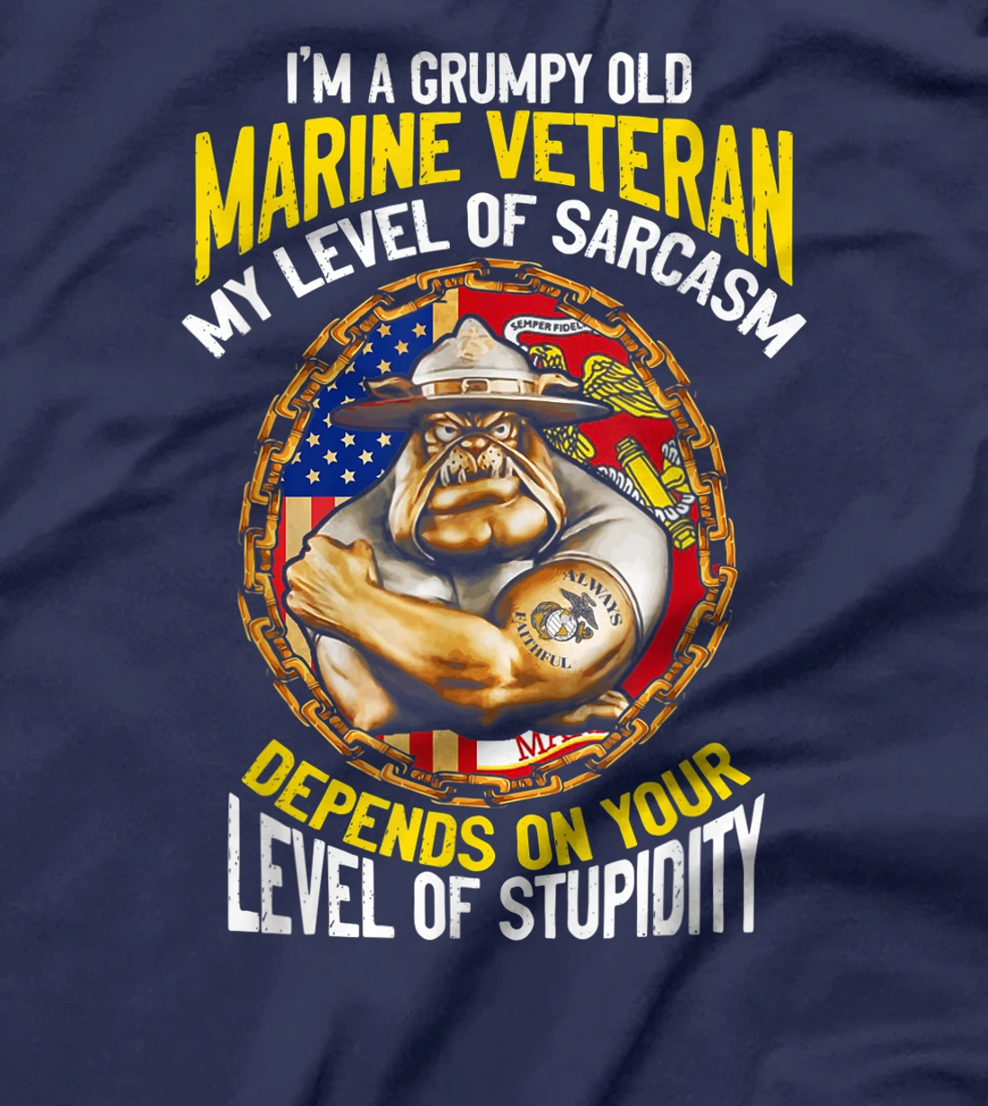 I'm A Grumpy Old Marine Veteran My Level Of Sarcasm Depends T-Shirt