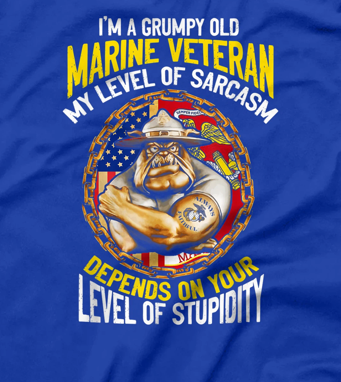I'm A Grumpy Old Marine Veteran My Level Of Sarcasm Depends T-Shirt