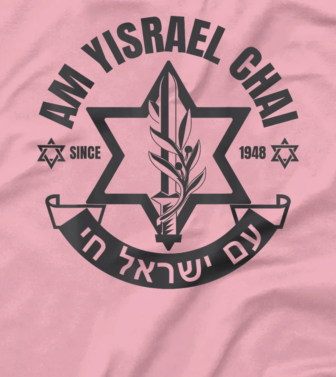 Am Yisrael Chai Israel 1948 Jewish Magen David Hebrew IDF T-Shirt