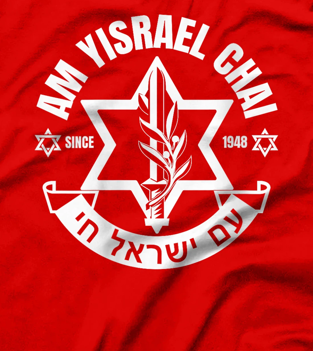 Womens Am Yisrael Chai Israel 1948 Jewish Magen David Hebrew IDF T-Shirt