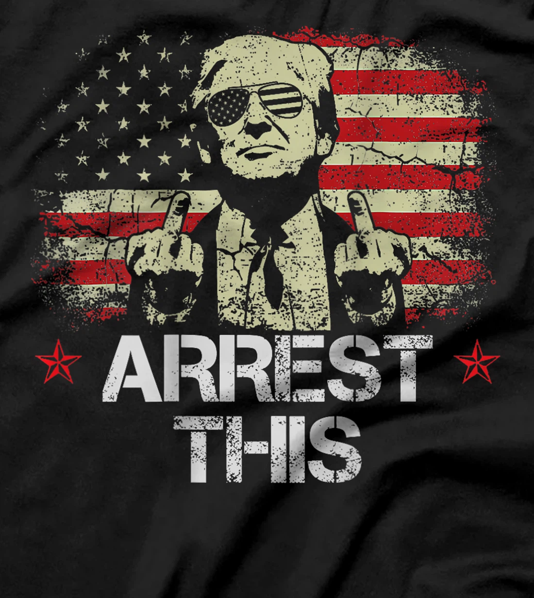 Trump Arrest This Funny Pro Trump 2024 (on Back) T-Shirt