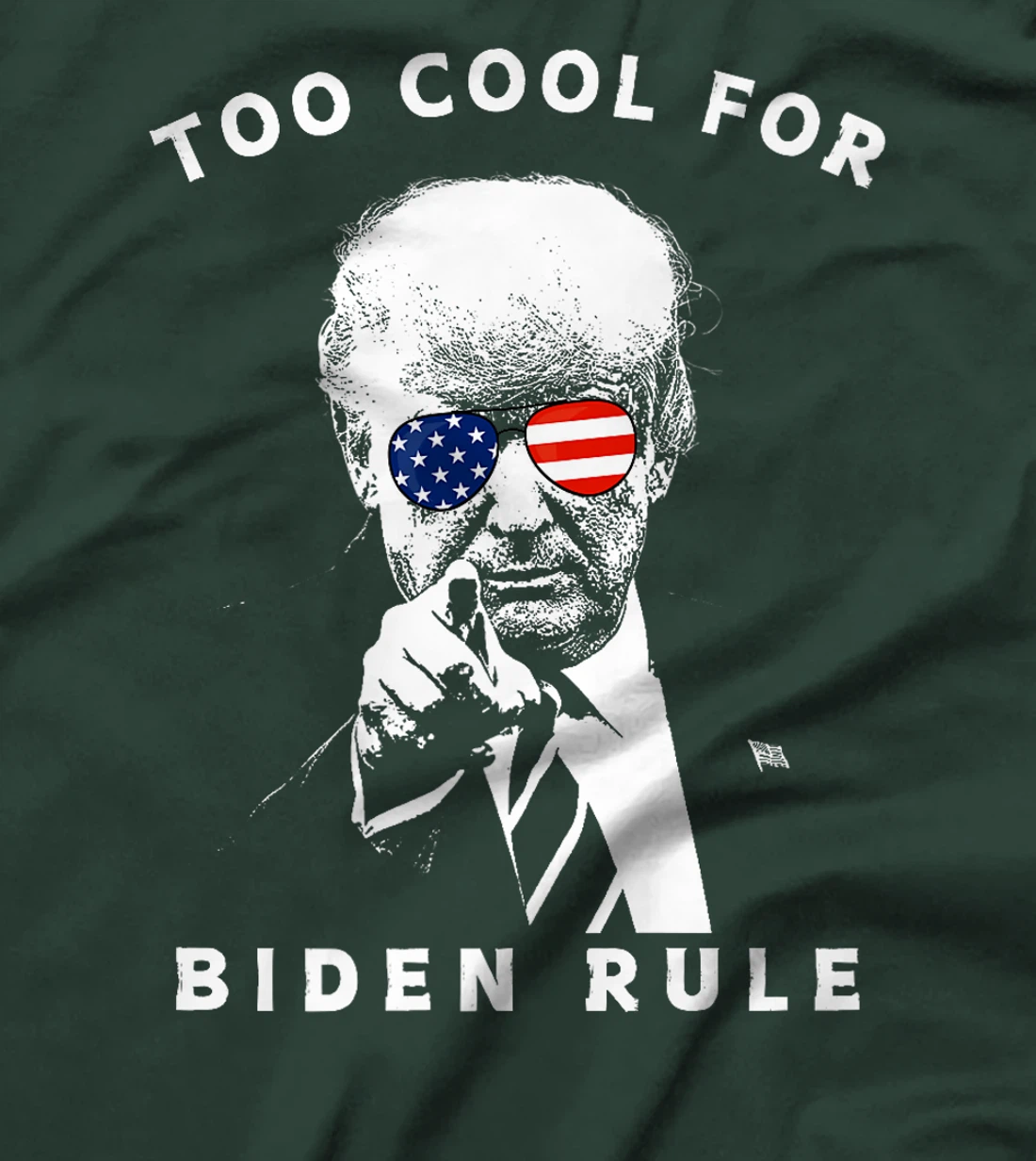 President Trump Too Cool For Biden Rule MAGA USA Flag Funny Premium T-Shirt