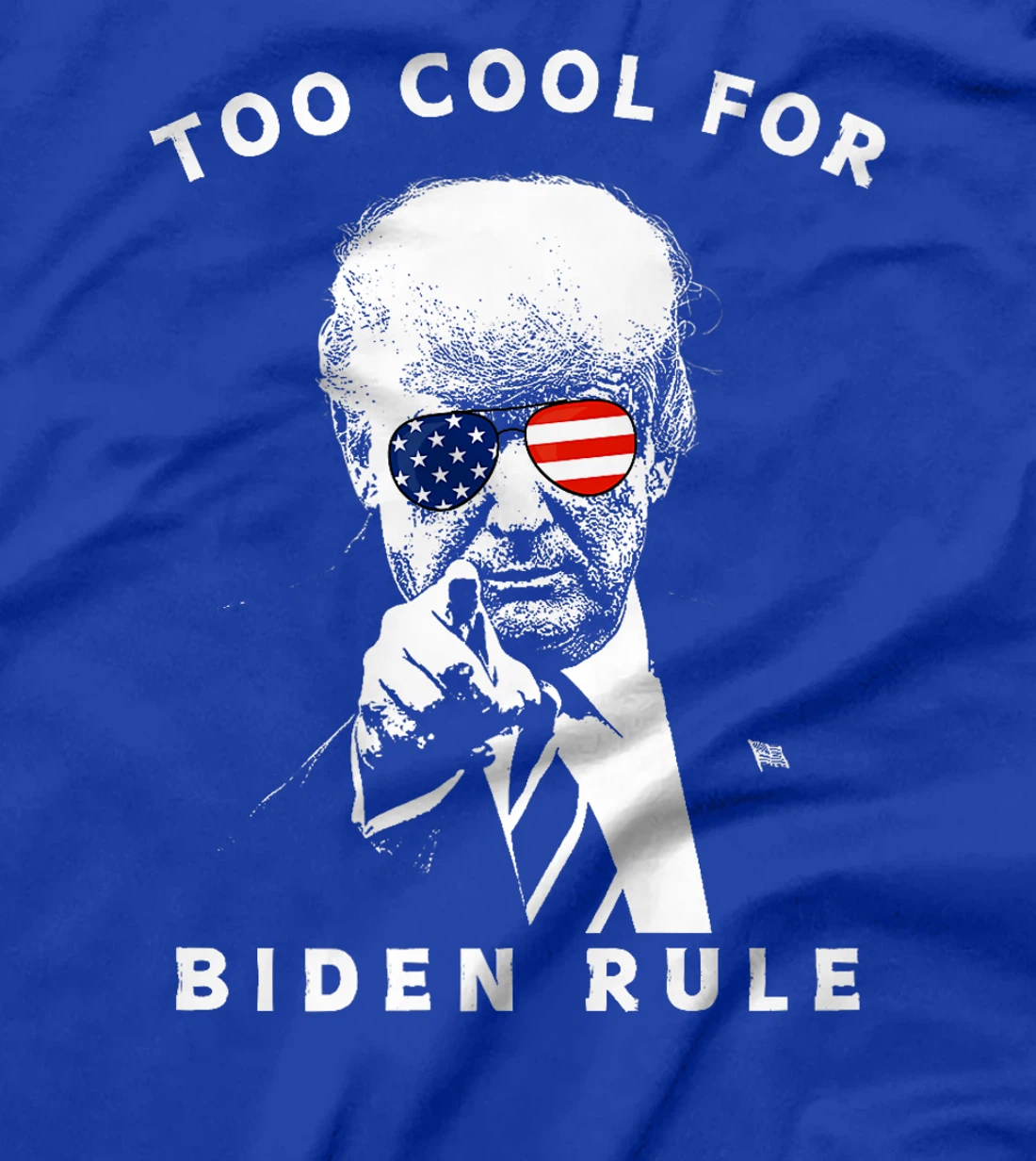 President Trump Too Cool For Biden Rule MAGA USA Flag Funny Premium T-Shirt