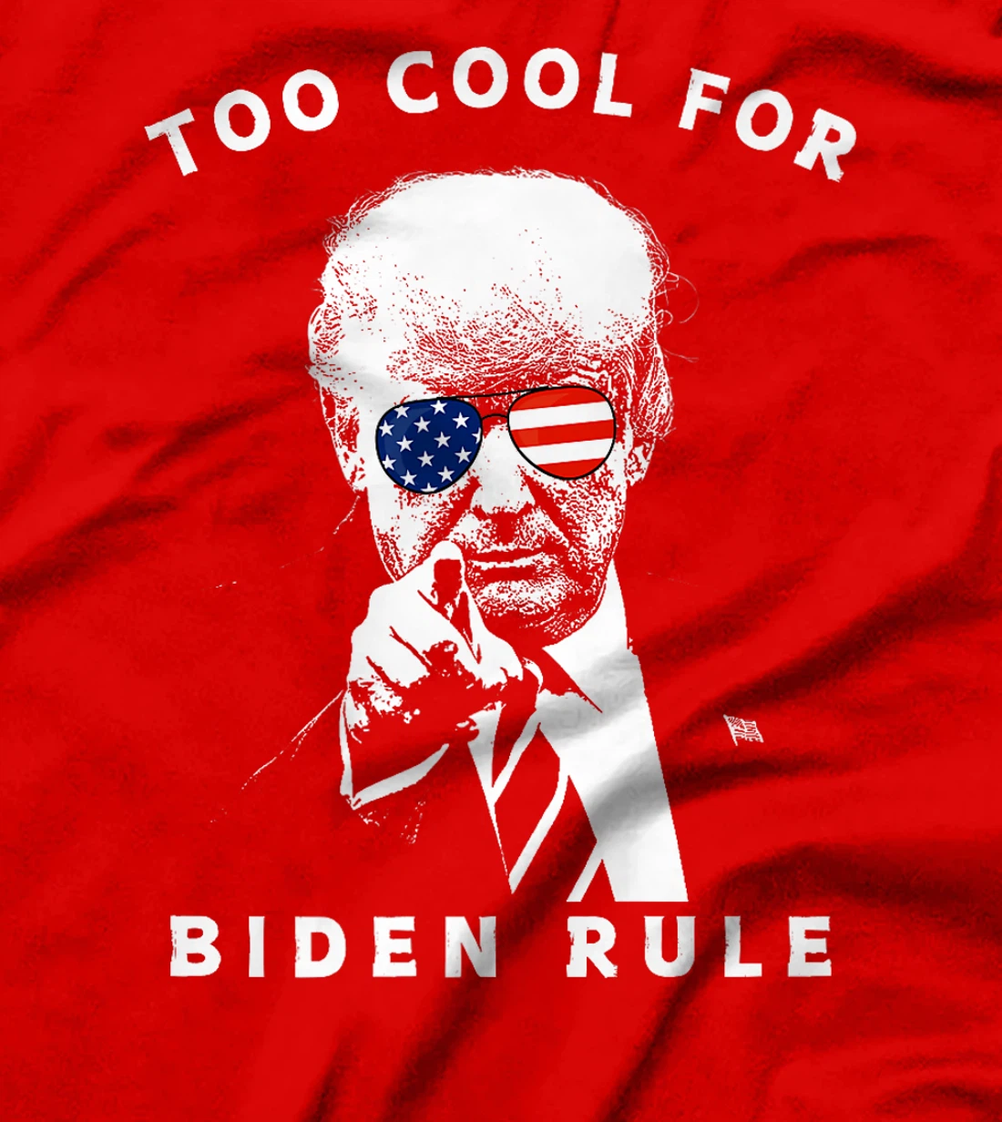 President Trump Too Cool For Biden Rule MAGA USA Flag Funny Premium T-Shirt