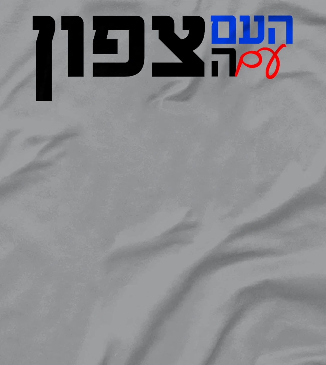 The Nation With the North in Hebrew Northern Israel Premium T-Shirt