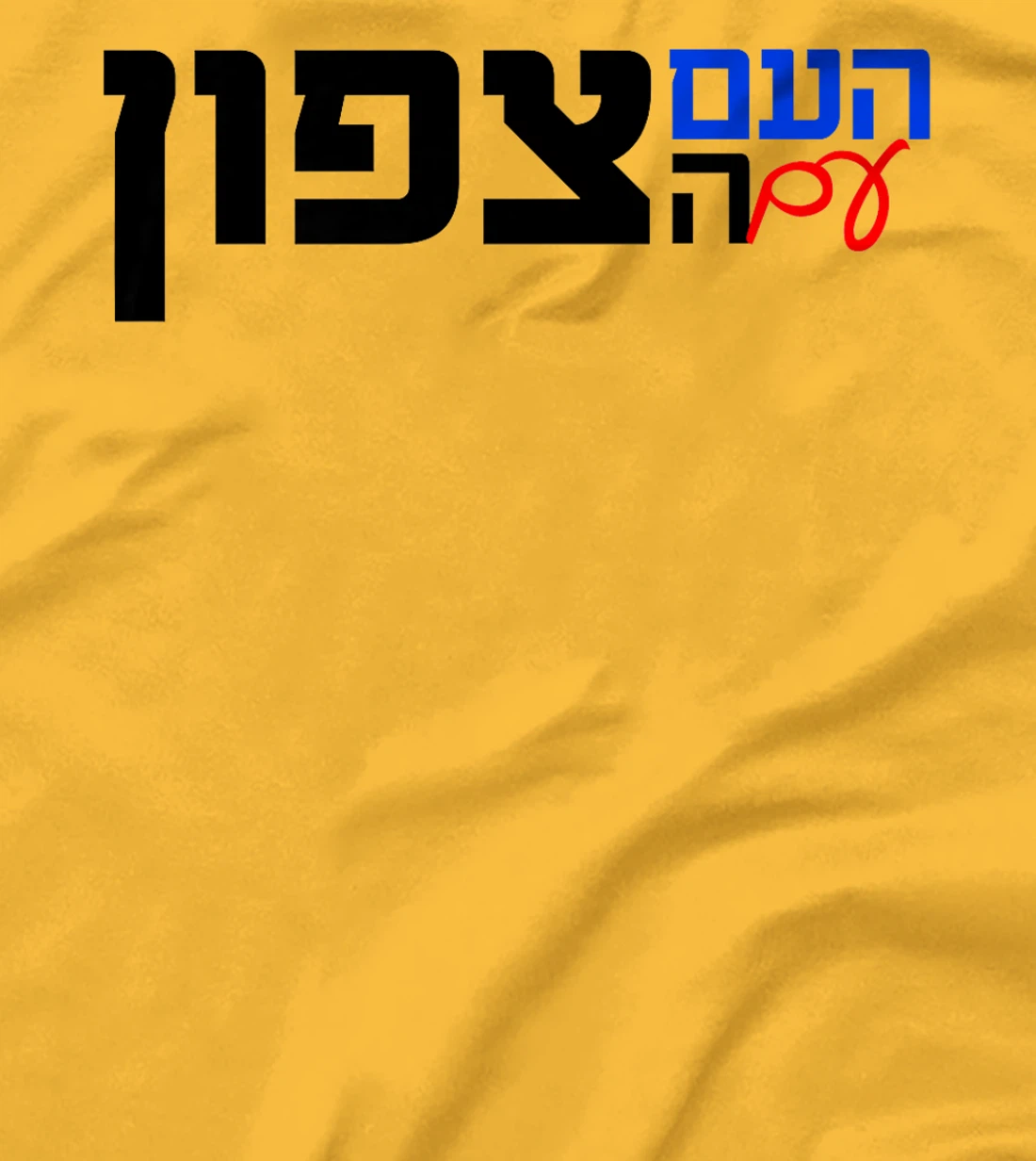 The Nation With the North in Hebrew Northern Israel Premium T-Shirt