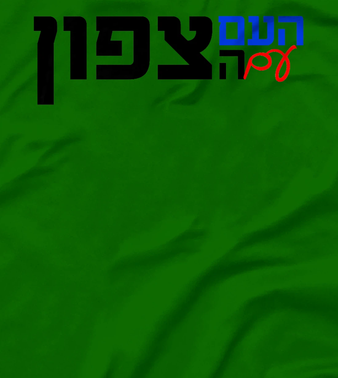 The Nation With the North in Hebrew Northern Israel Premium T-Shirt