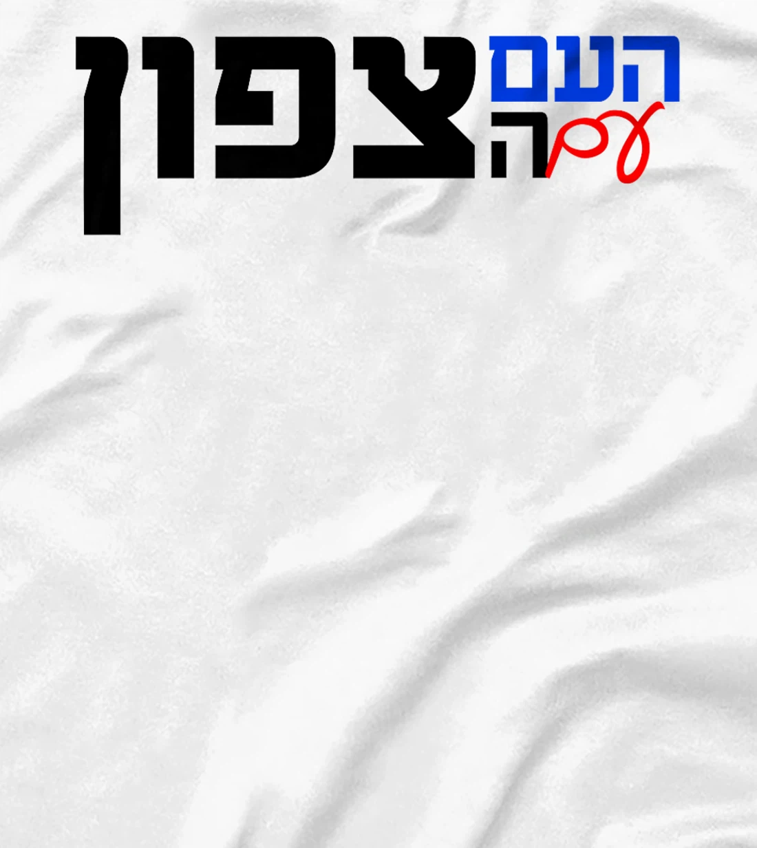 The Nation With the North in Hebrew Northern Israel Premium T-Shirt