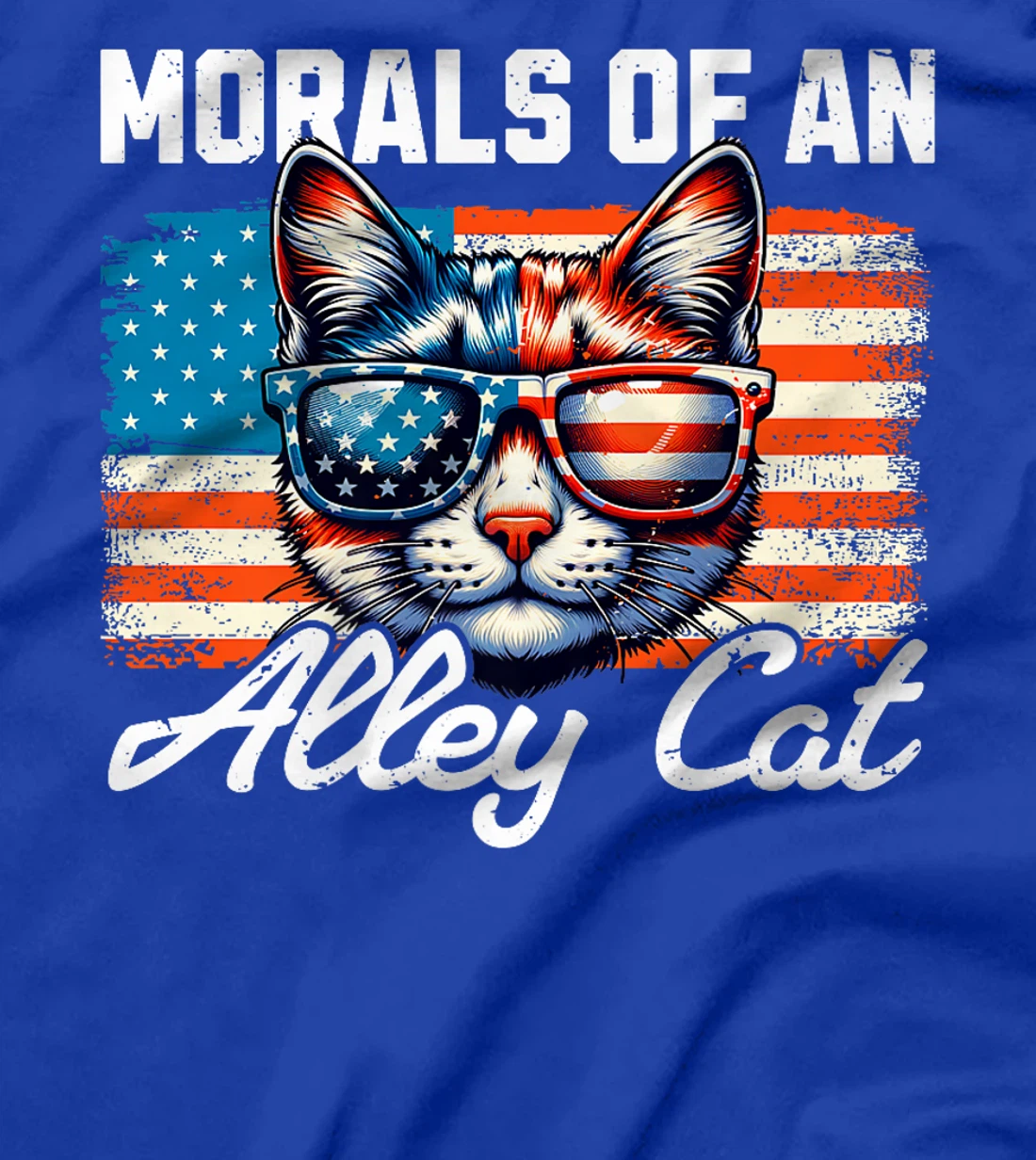 You've Got The Morals Of An Alley Cat Trump Biden Election Premium T-Shirt