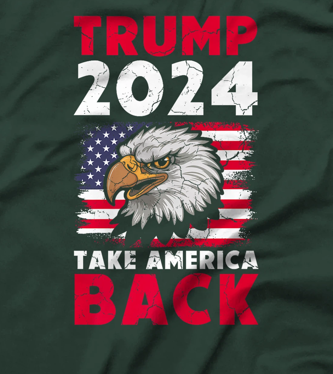Trump 2024 Take America Back Election US Flag Eagle Politics Premium T-Shirt