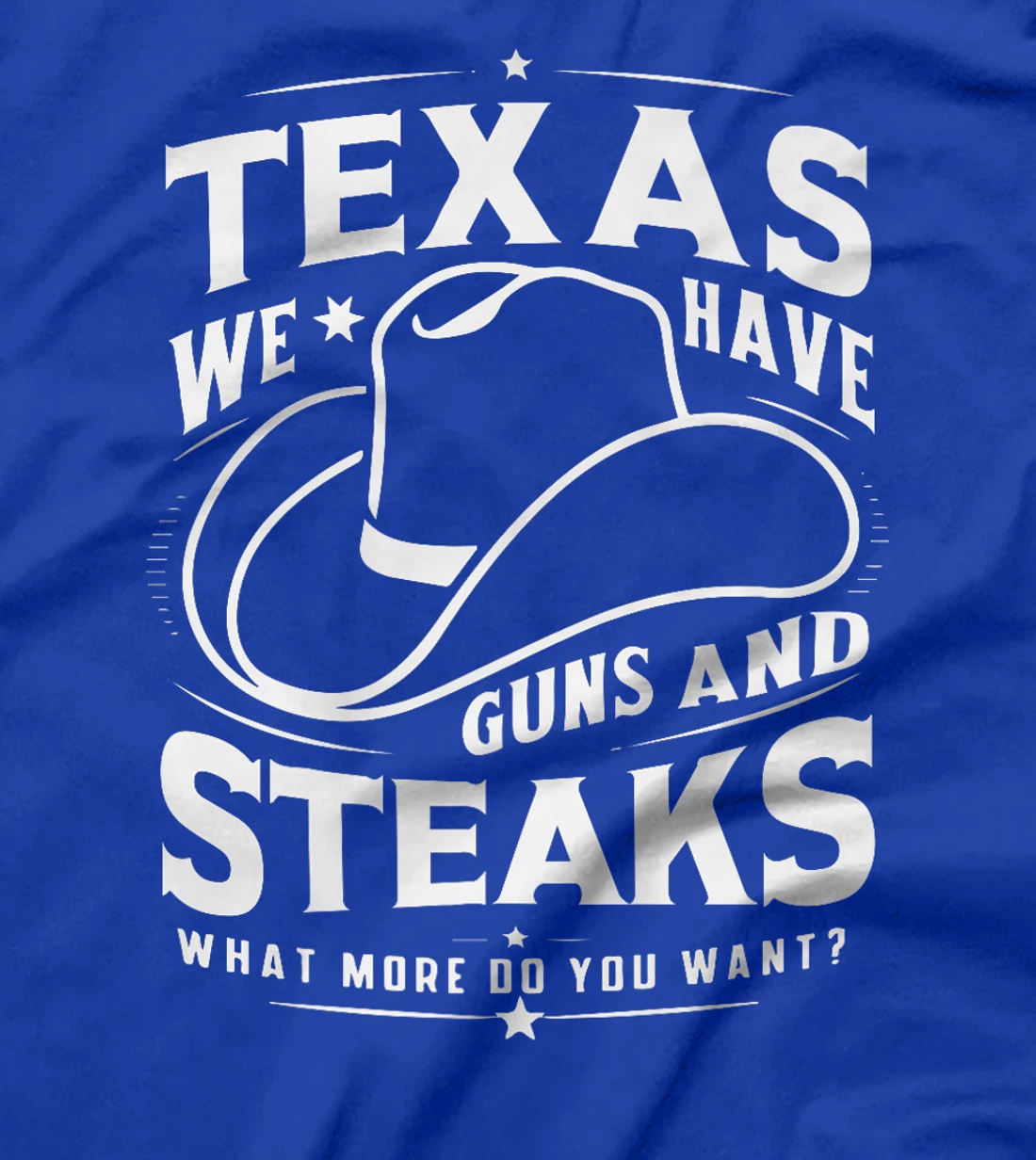Texas We Have Guns And Steaks What More Do You Want Premium T-Shirt