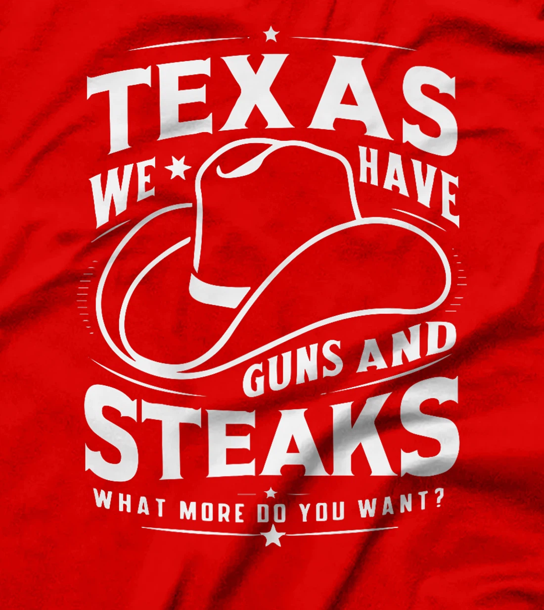 Texas We Have Guns And Steaks What More Do You Want Premium T-Shirt