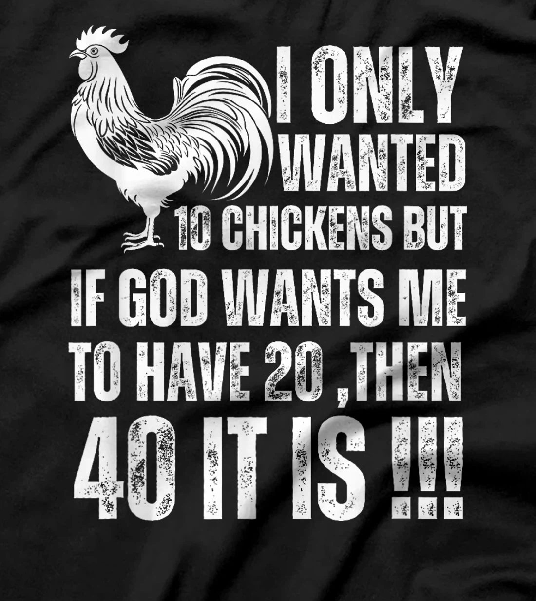 i only wanted 10 chickens but if god wants me to have 20 T-Shirt
