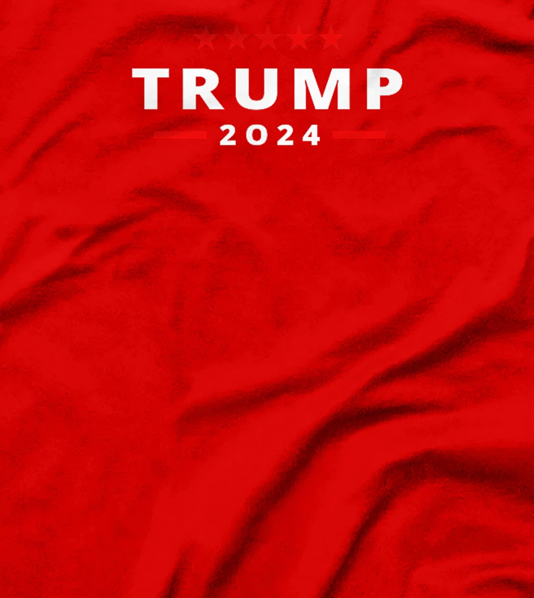 Trump Arrest This Funny Trump 2024 Front on the Back T-Shirt
