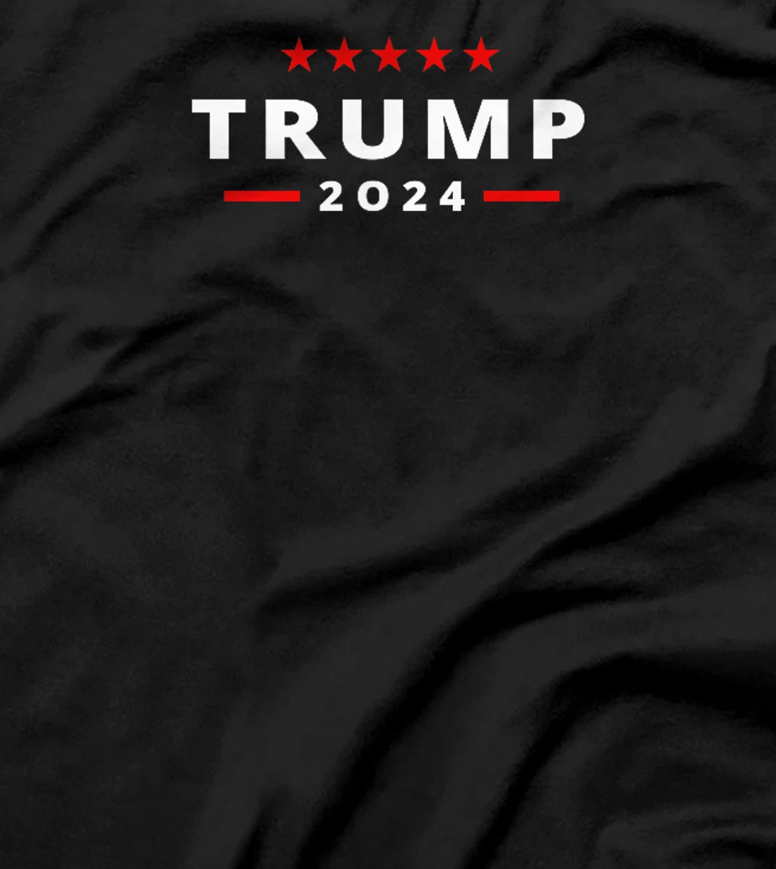 Trump Arrest This Funny Trump 2024 Front on the Back T-Shirt