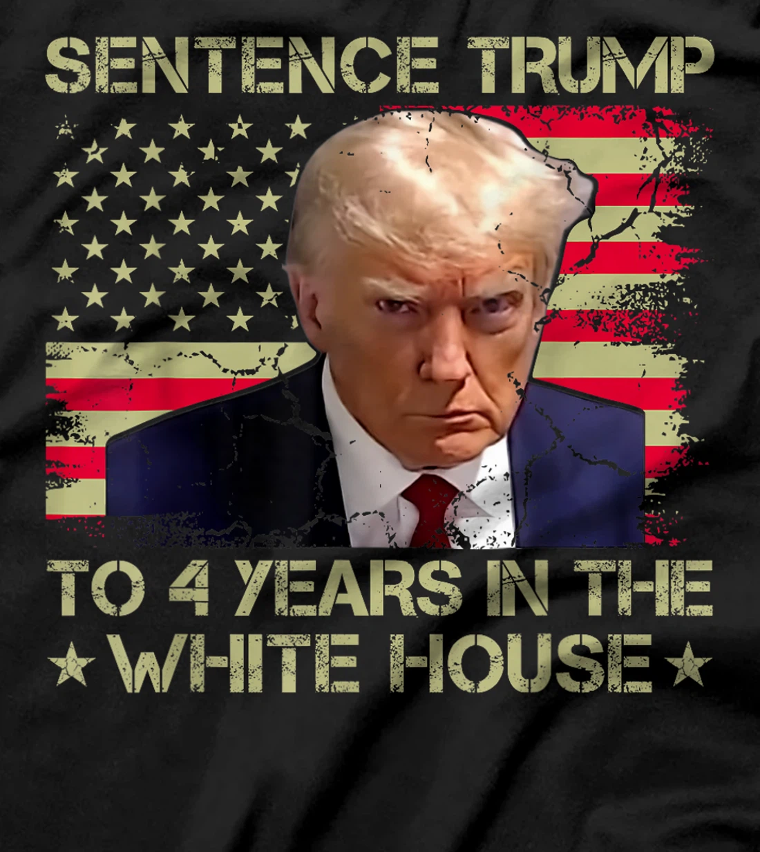 Womens Sentence Trump To 4 Years In The White House 2024 Elections T-Shirt