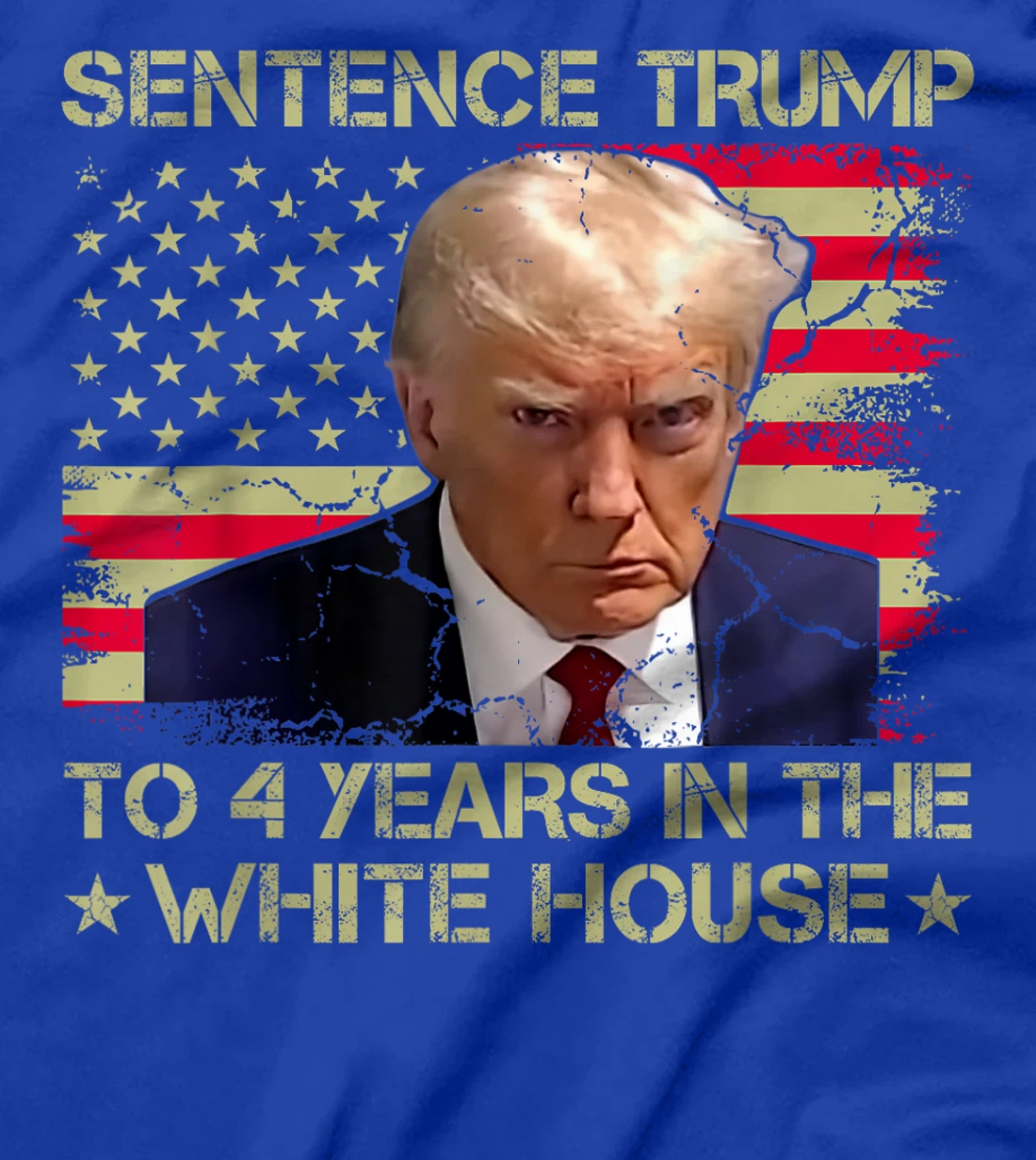 Womens Sentence Trump To 4 Years In The White House 2024 Elections T-Shirt