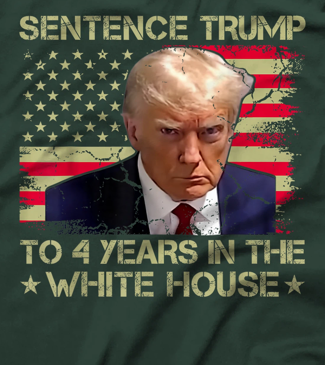 Womens Sentence Trump To 4 Years In The White House 2024 Elections T-Shirt