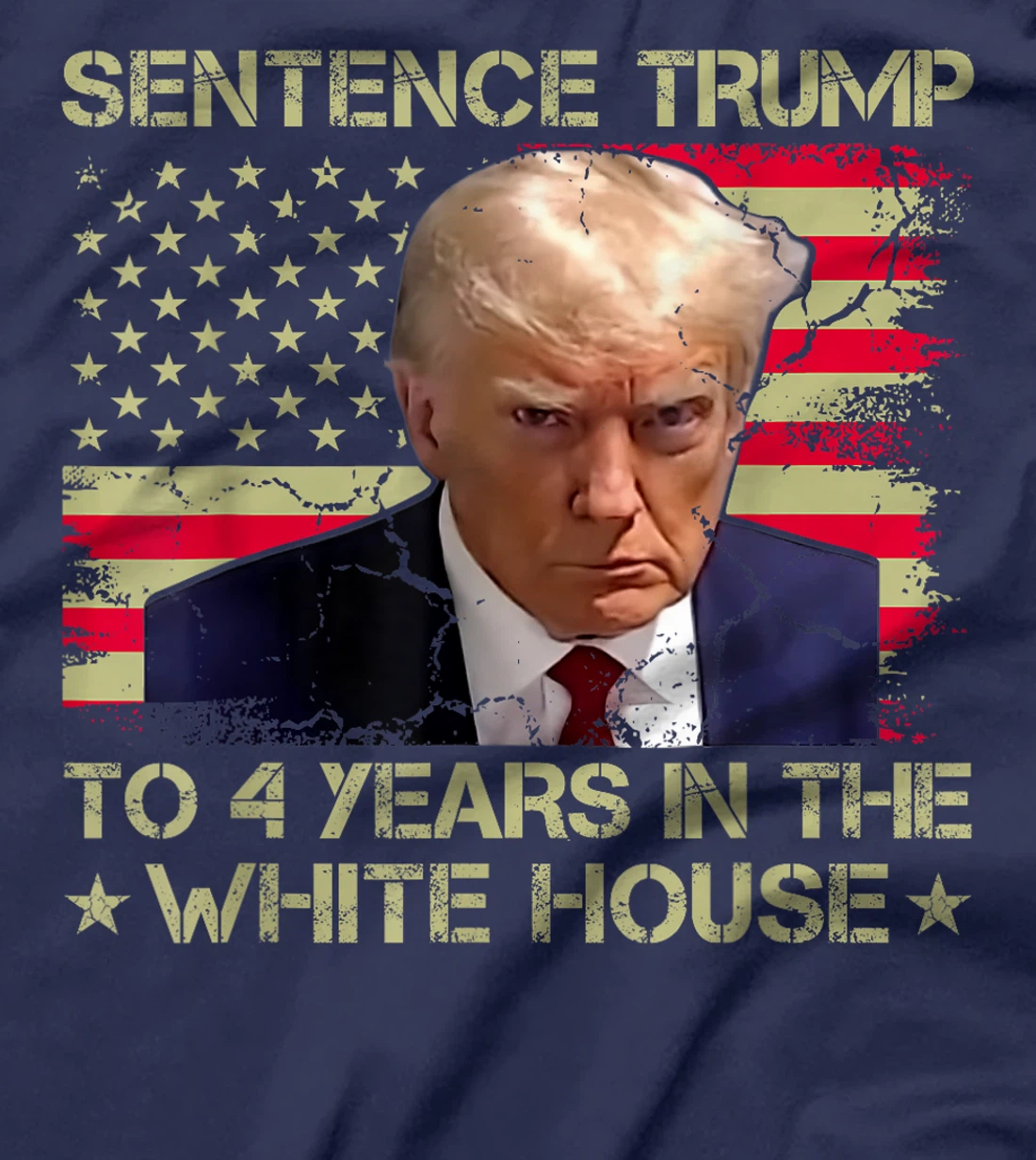 Womens Sentence Trump To 4 Years In The White House 2024 Elections T-Shirt