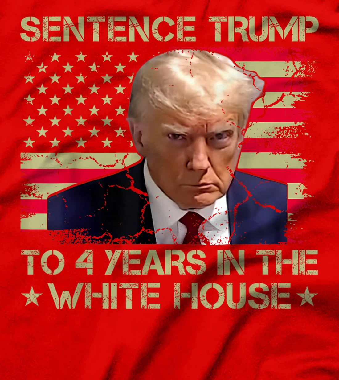 Womens Sentence Trump To 4 Years In The White House 2024 Elections T-Shirt
