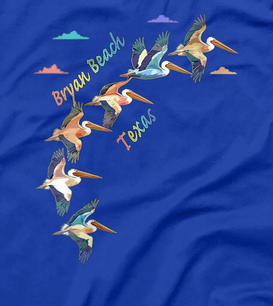 Womens Bryan Beach Texas Colorful Tie-Dye Pelican Art T-Shirt