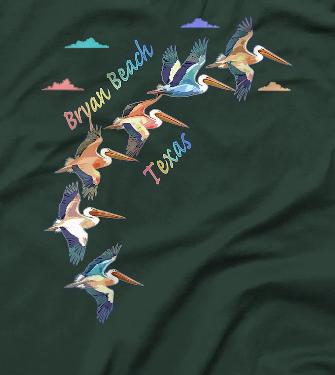 Womens Bryan Beach Texas Colorful Tie-Dye Pelican Art T-Shirt
