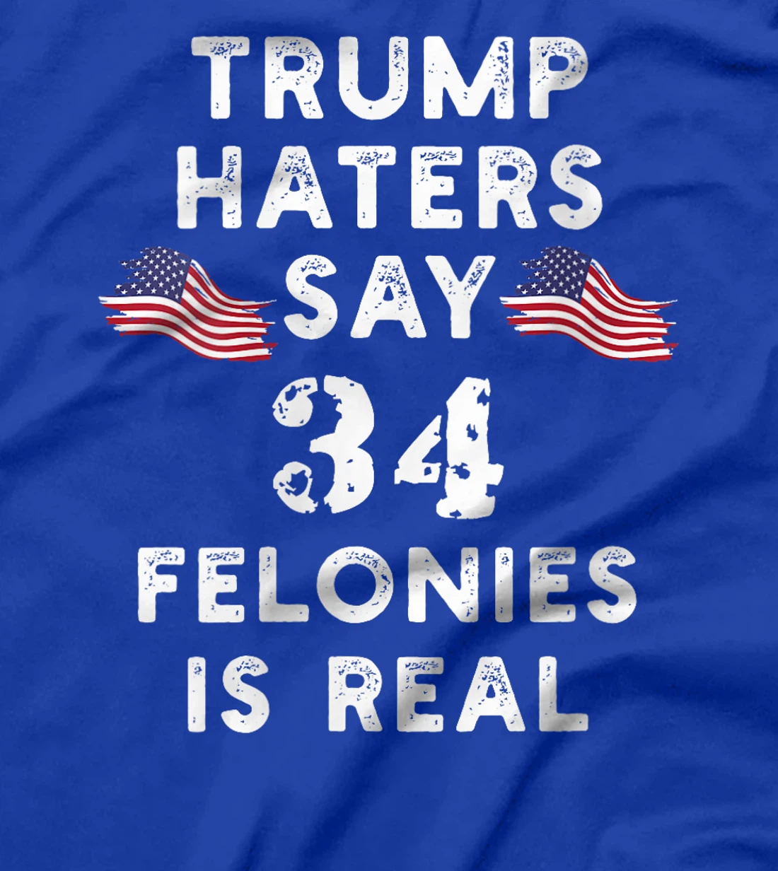 Womens Trump Haters say 34 Felonies is Real T-Shirt