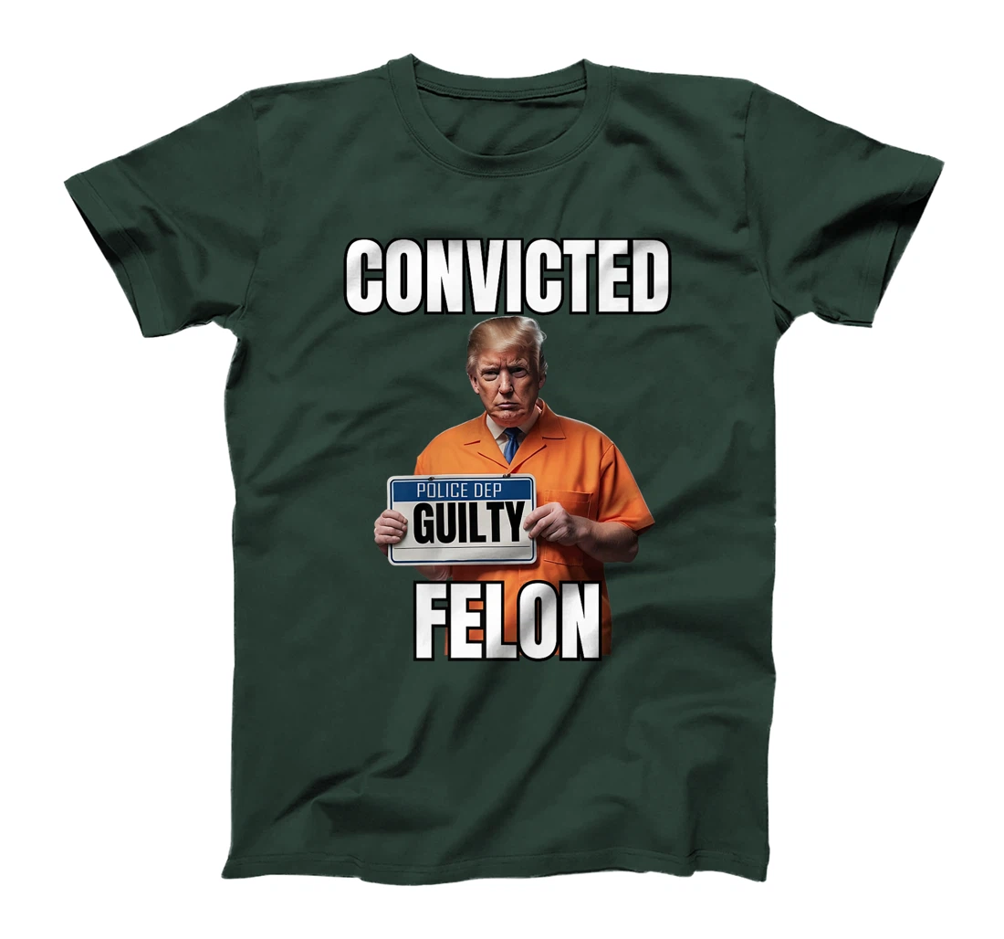 Convicted Felon, Trump Gulity, Funny 34 Felony Convictions Premium T-Shirt