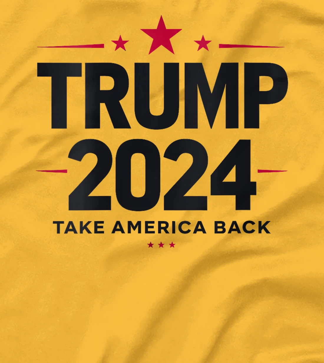 Womens Trump 2024 Take America Back 2024 Election T-Shirt