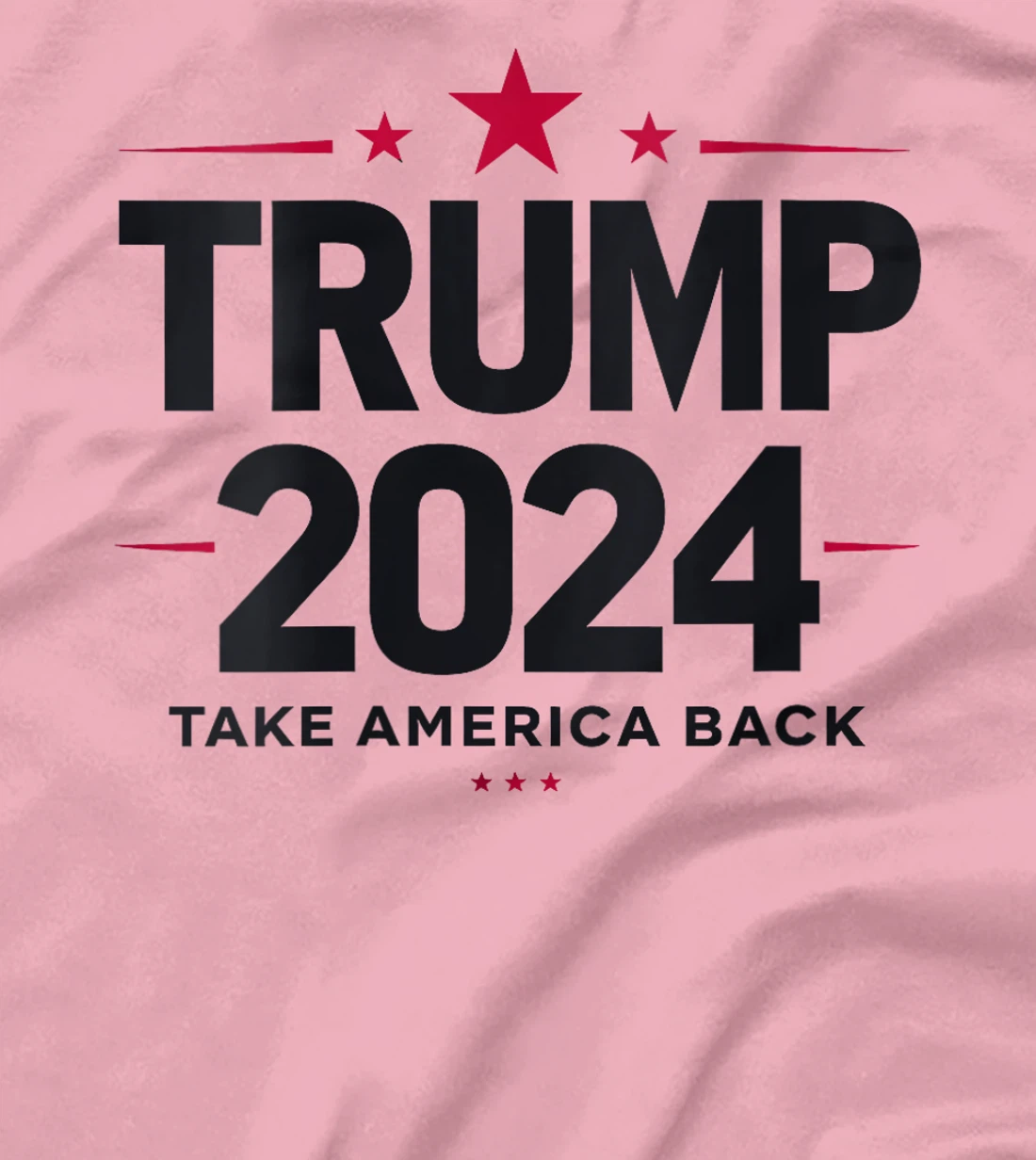 Womens Trump 2024 Take America Back 2024 Election T-Shirt
