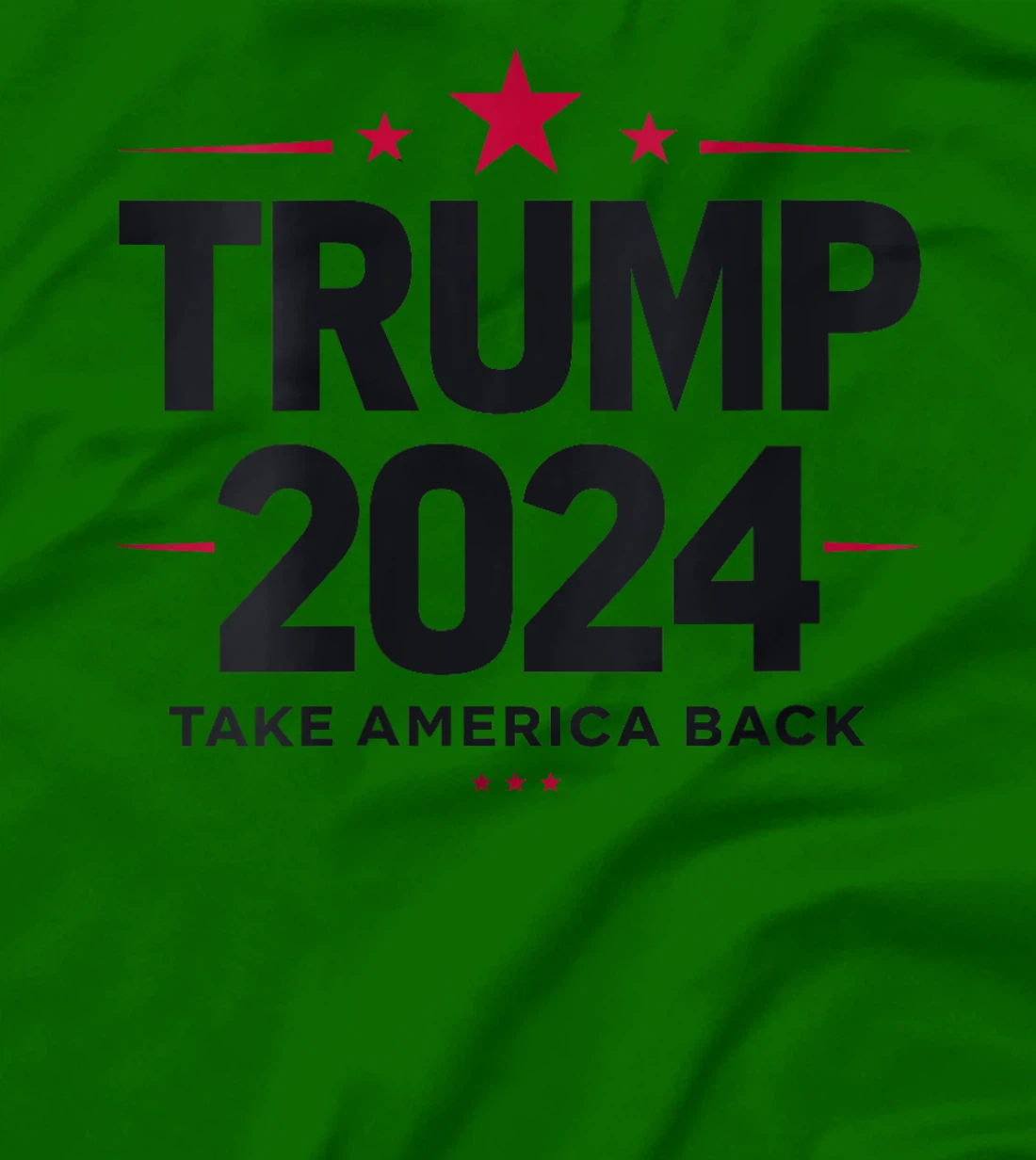 Womens Trump 2024 Take America Back 2024 Election T-Shirt