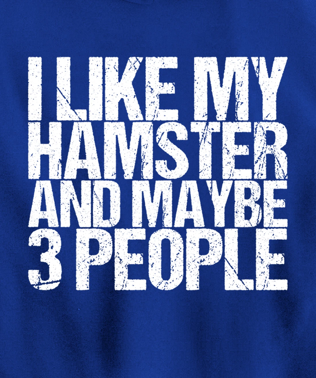 I Like My Hamster And Maybe 3 People Pullover Hoodie
