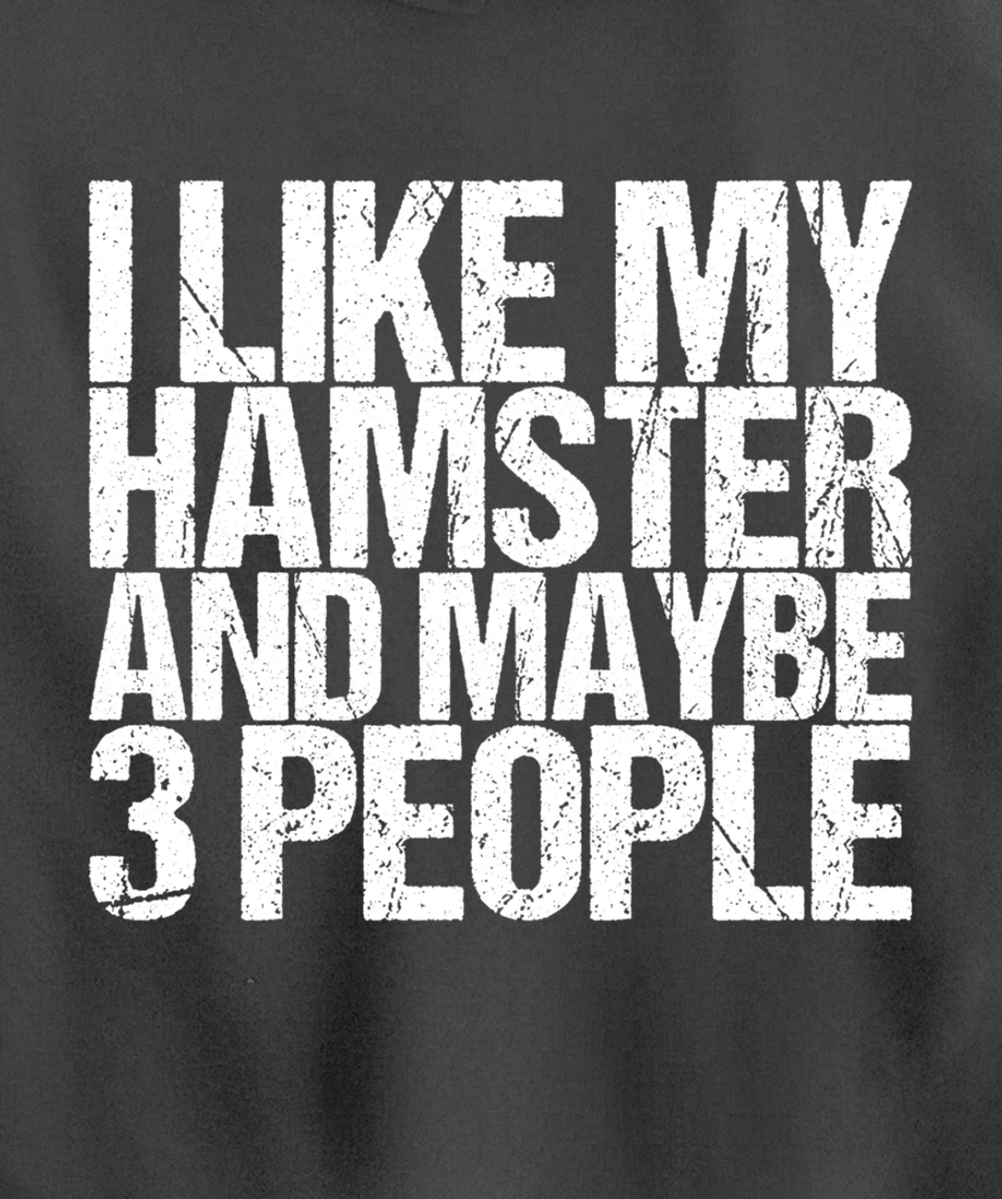 I Like My Hamster And Maybe 3 People Pullover Hoodie